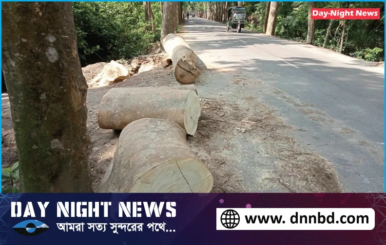 পিরোজপুরের ইন্দুরকানীতে সরকারি গাছ কাটা হলেও ব্যবস্থা নেয়নি বন বিভাগ কর্তৃপক্ষ