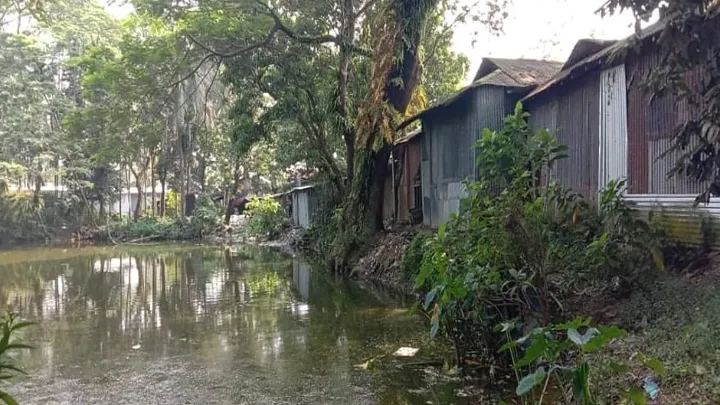 কমলনগরের ফজুমিয়ারহাট বাজারঃ খাস জমিতে দুই পরিবারেরই ২৫ দোকান 