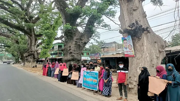 ঝিনাইদহে রাস্তার দুপাশে মরা গাছ কেটে জীবন্ত  গাছ রেখে রাস্তা নির্মানের দাবিতে মানববন্ধন