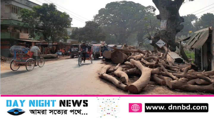 ঝিনাইদহের ব্যস্ত সড়কের উপর গাছের ডাল পড়ে আছে মাসের পর মাস