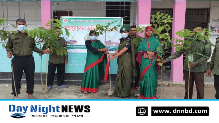 ডিমলায় আনসার ও ভিডিপি সদস্যদের মাঝে চারা বিতরণ