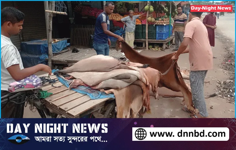 ফুলবাড়ীতে এবারও পশু চামড়ার দাম নেই বিক্রি হয়নি ছাগলের চামড়া