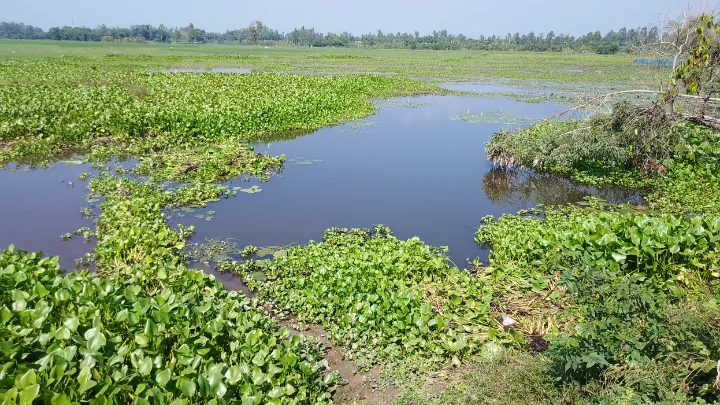 অর্ধকোটি টাকার ক্যানেল জমির চেয়ে উঁচু  দ্রুত সমাধানের দাবি