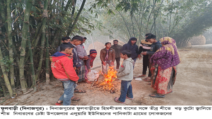   ফুলবাড়ীতে কনকনে শীতে কাহিল মানুষসহ পশুপাখি