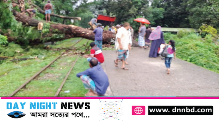 গাছ উপড়ে নোয়াখালীর সঙ্গে সারা দেশের রেল যোগাযোগ বন্ধ