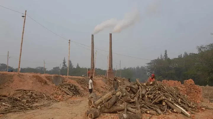 রামগতি-কমলনগরে,  প্রশাসনকে ম্যানেজ করেই চালাচ্ছে, অবৈধ ৫৮ ইটভাটা