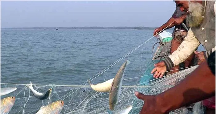 রামগতি-কমলনগরের মেঘনা নদীতে দুই মাস মাছ ধরা নিষিদ্ধ