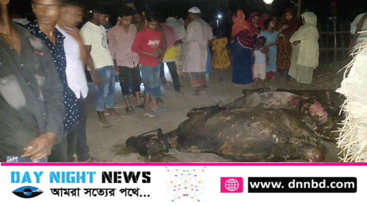 ফুলবাড়ীতে দুই কক্ষ ও গোয়ালঘর ভস্মিভূতসহ তিনটি গরুর মৃত্যু: প্রায় ৫ লাখ টাকার ক্ষয়ক্ষতি